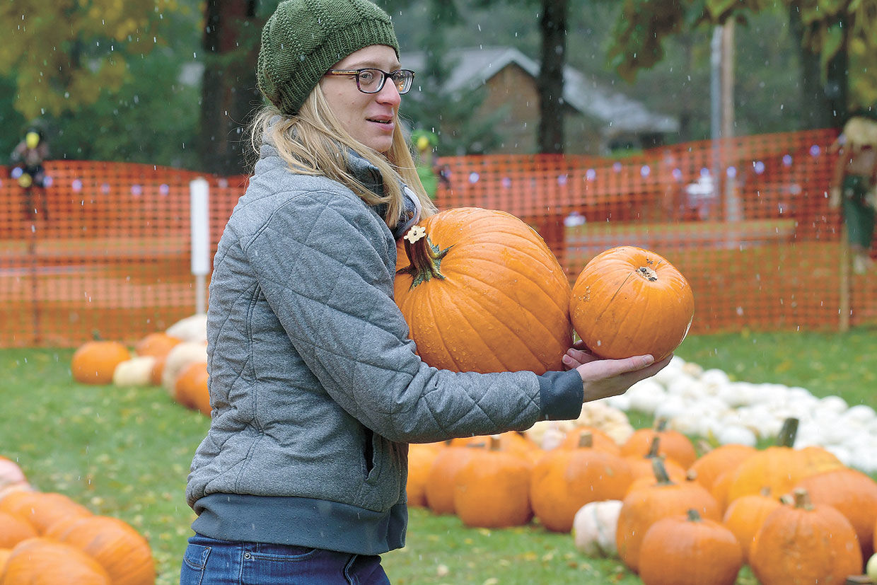 Pumpkin picking perseverance